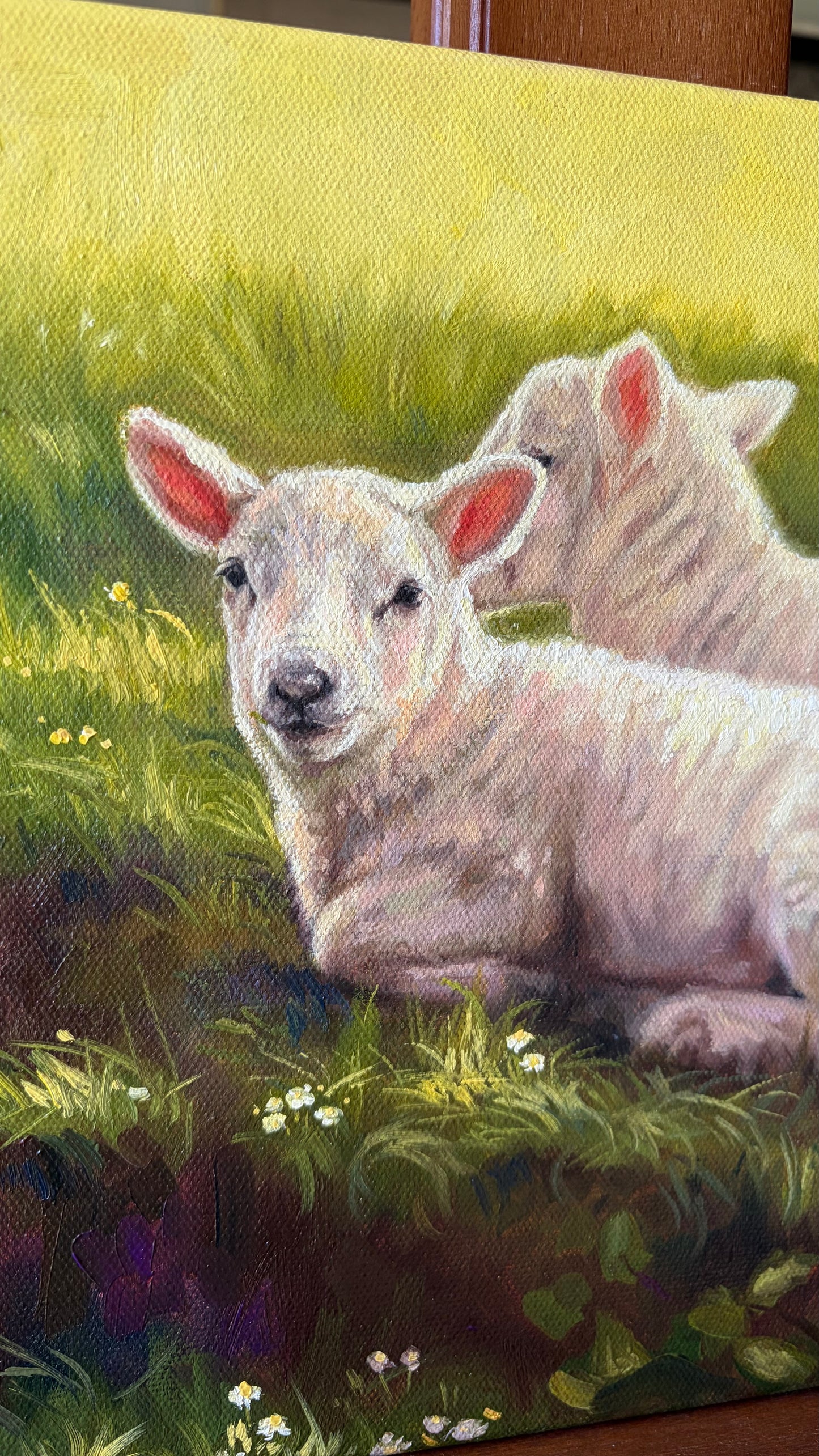 LAMBIES AT REST