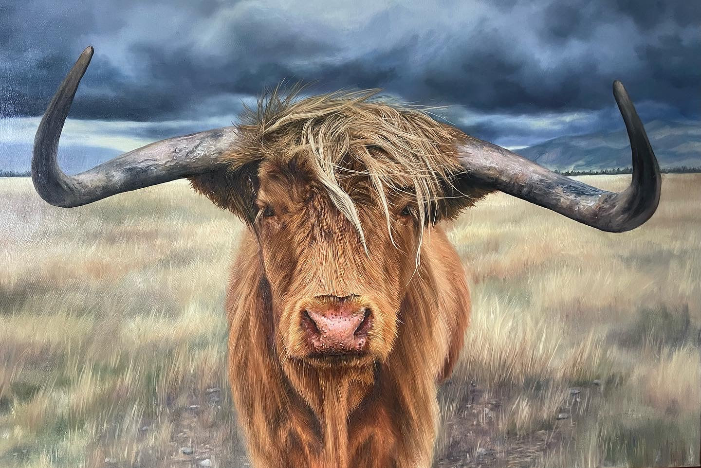 Harry the Highland Cow Original Oil Painting