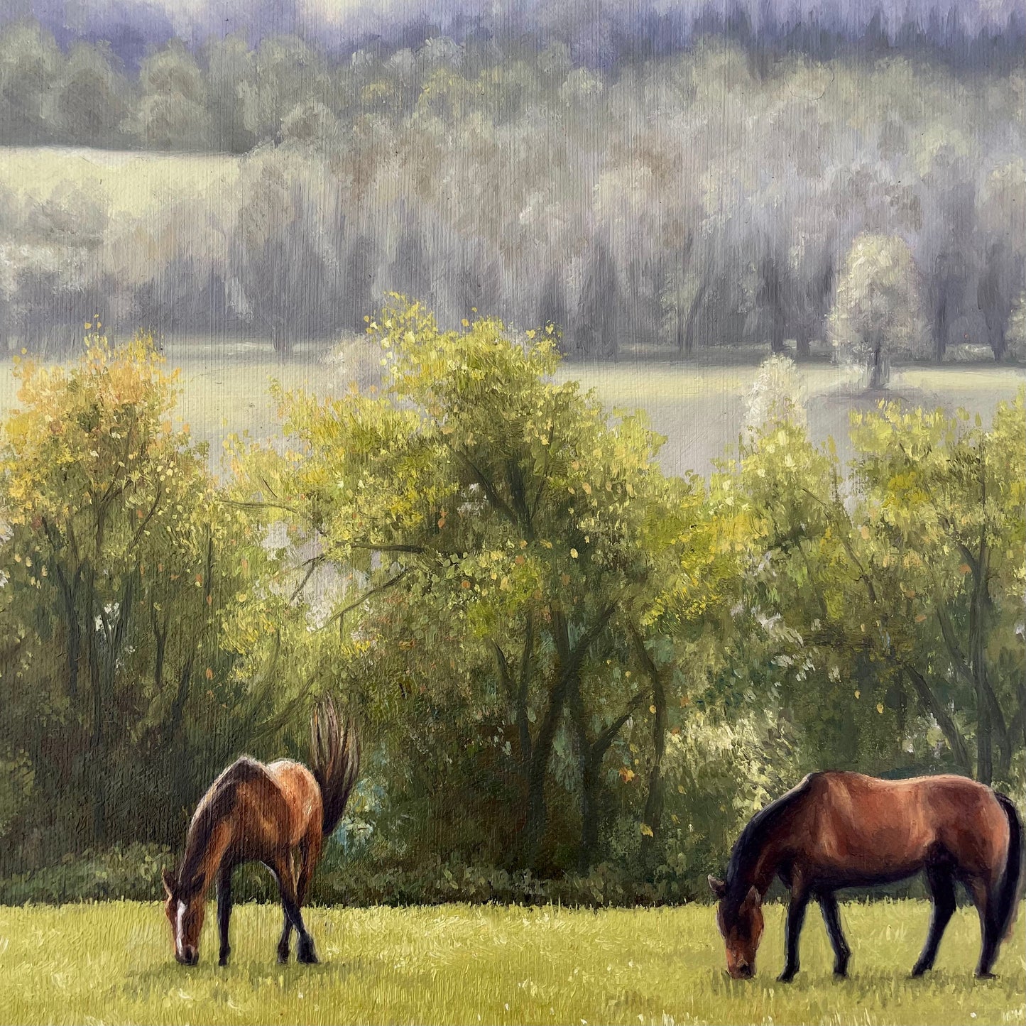 Grazing Days Original Oil Painting