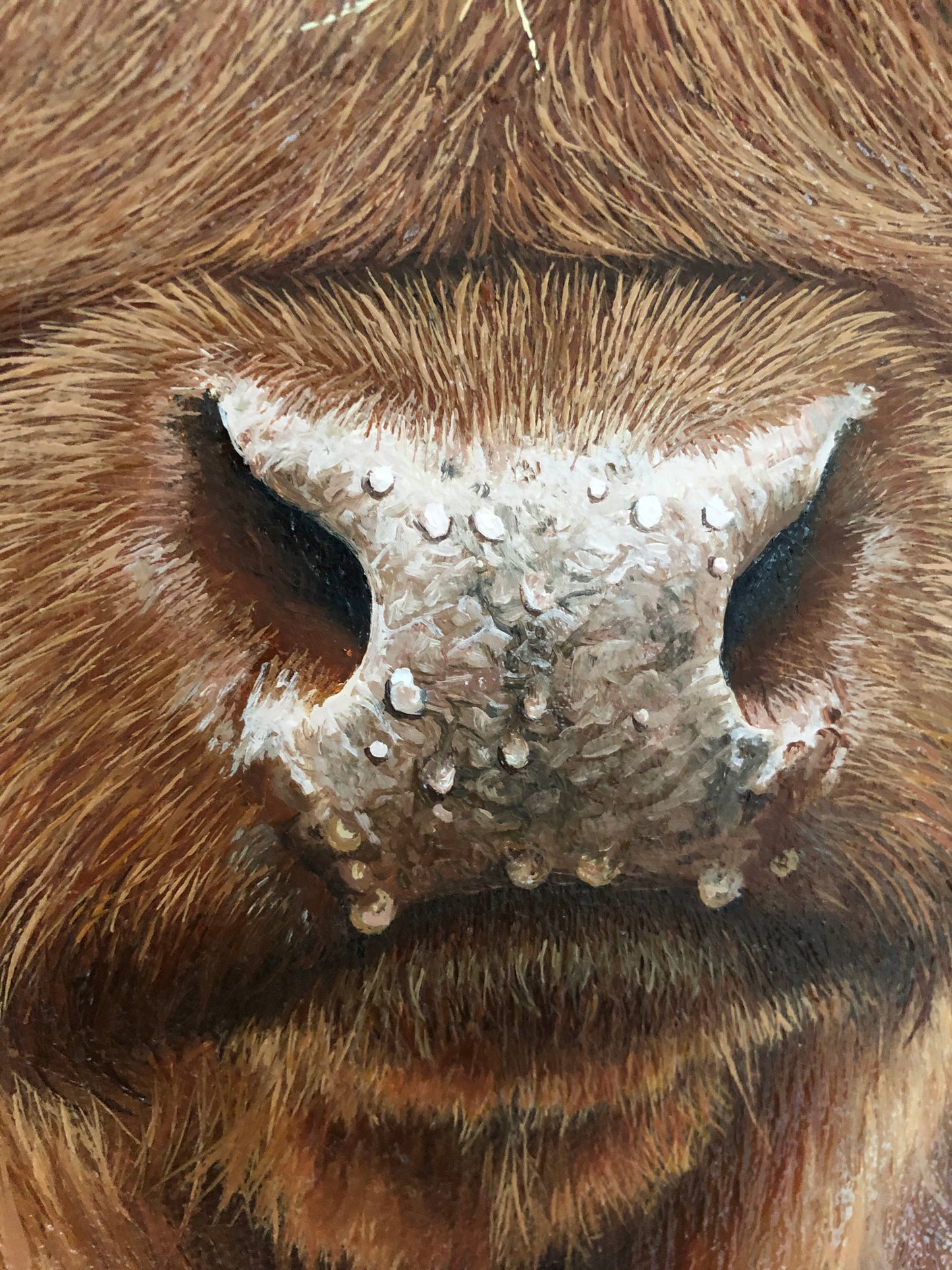 Charlie the Highland Cow Original Oil Painting