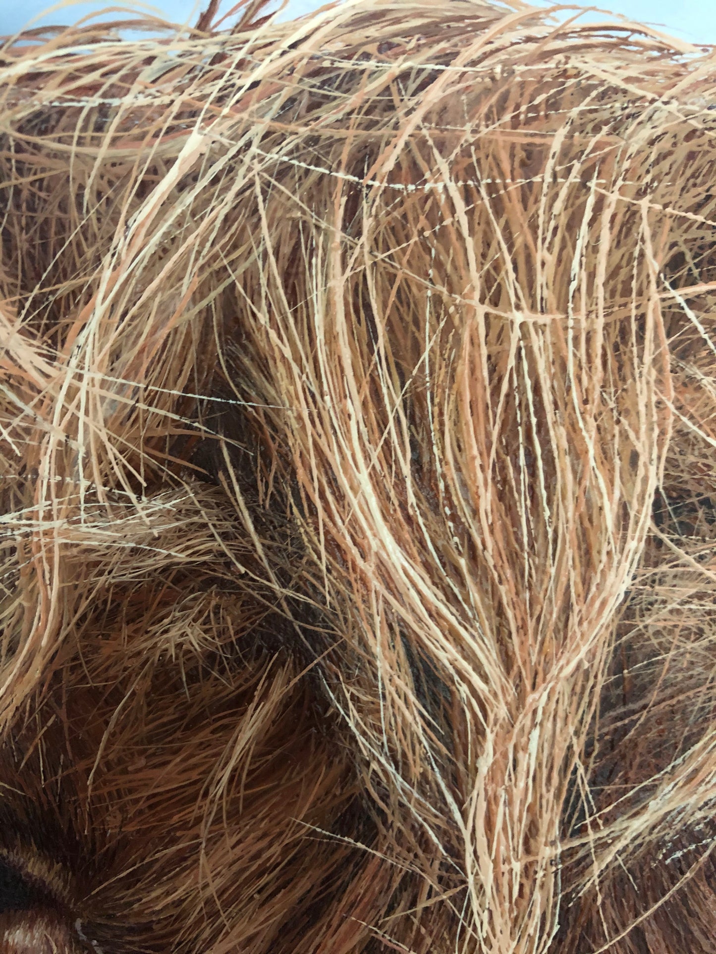 Limited Edition ‘Charlie the Highland Cow’ A2 Print