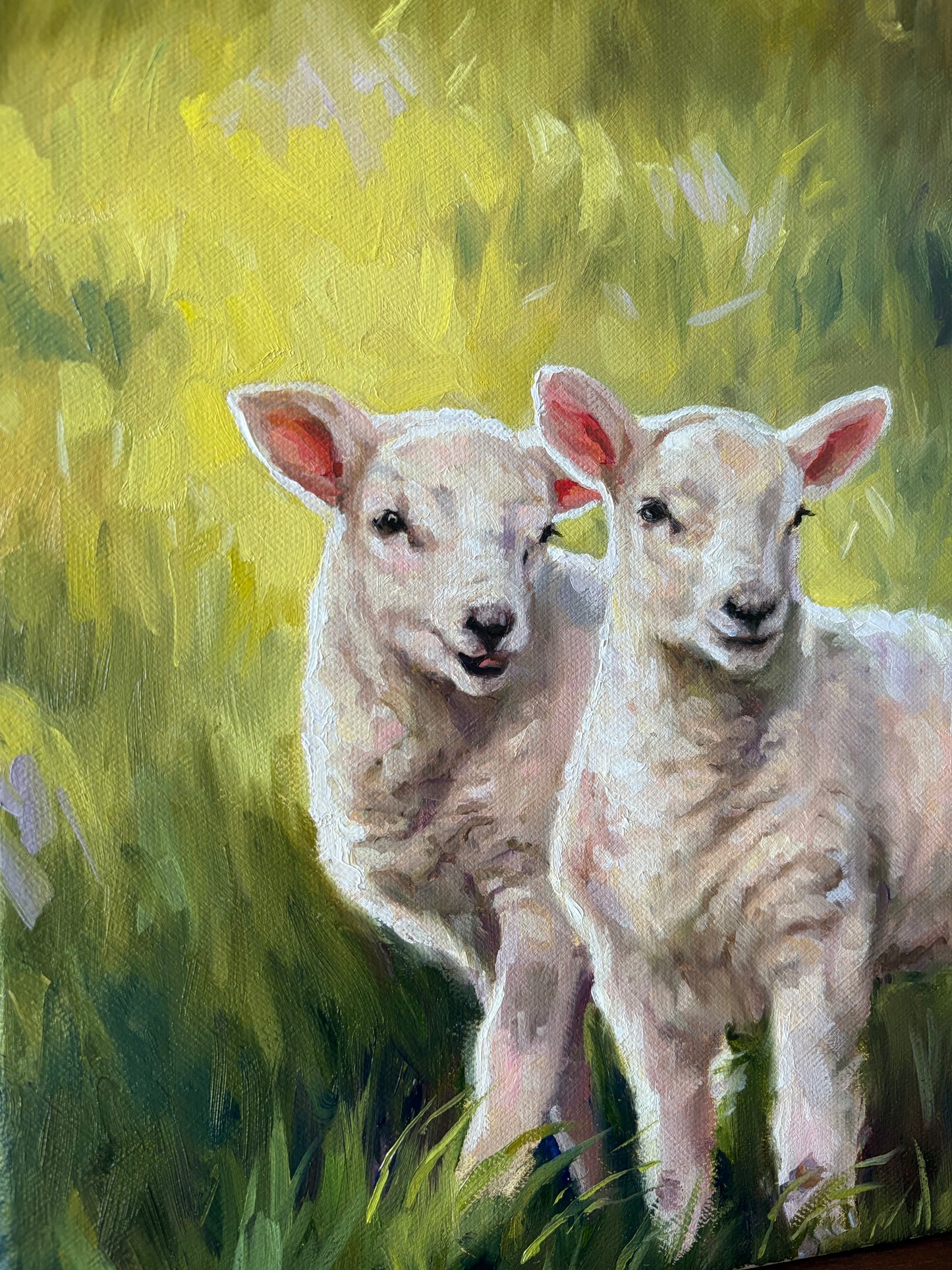 LAMBIES