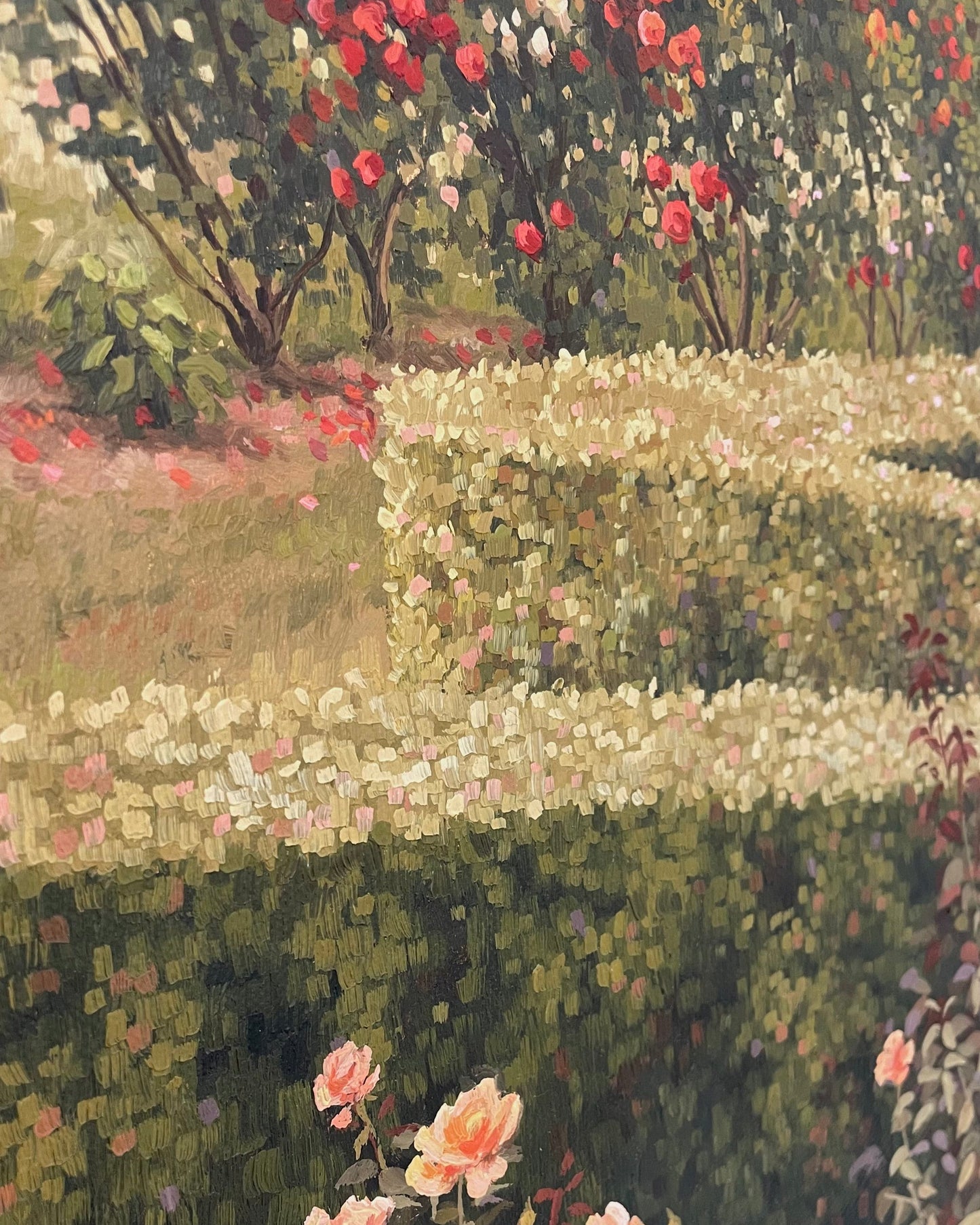 The Rose Garden II