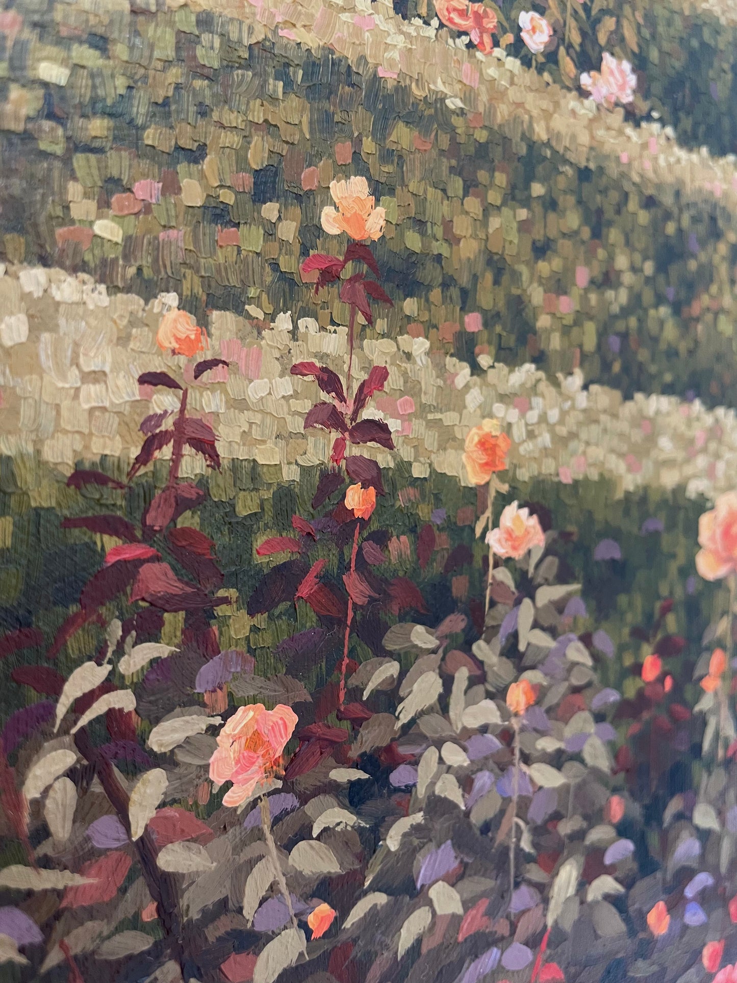 The Rose Garden II