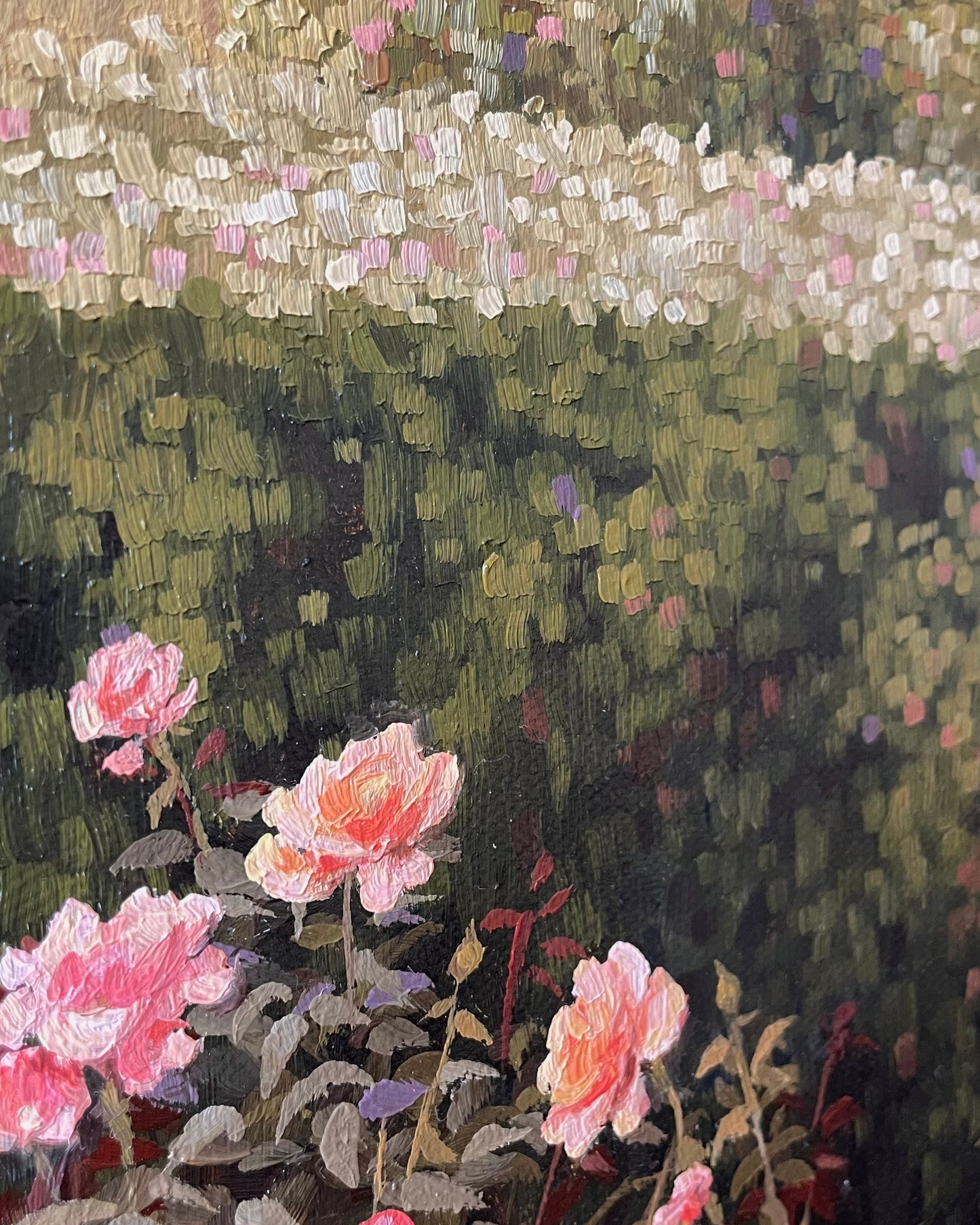 The Rose Garden II