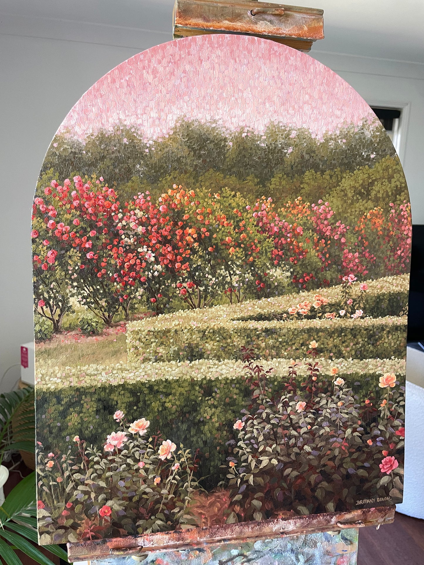 The Rose Garden II