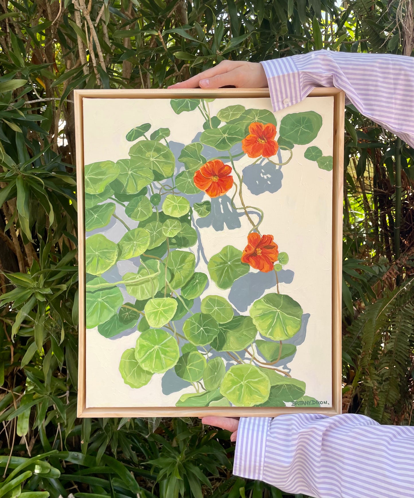 Nasturtium Bloom Original Oil Painting
