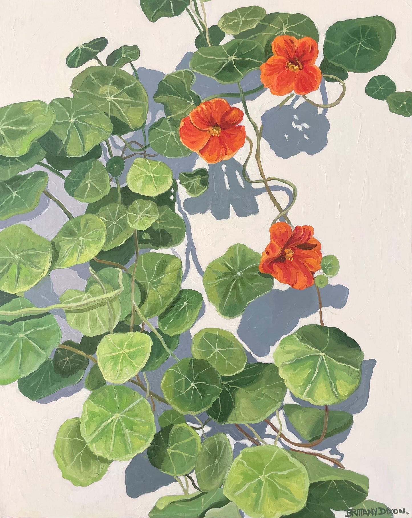 Nasturtium Bloom Original Oil Painting
