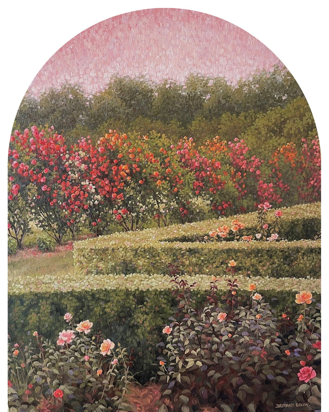 The Rose Garden II