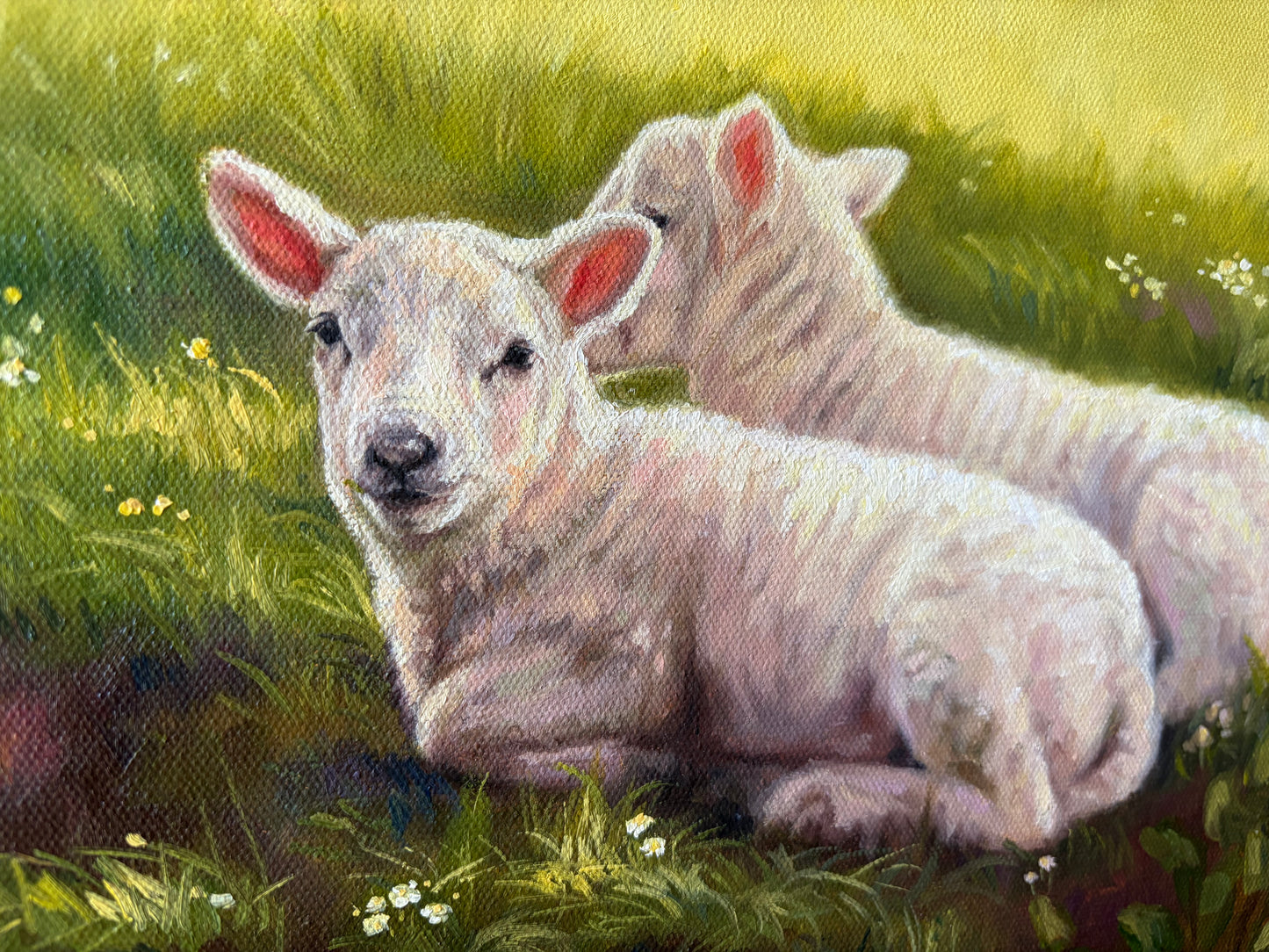 LAMBIES AT REST