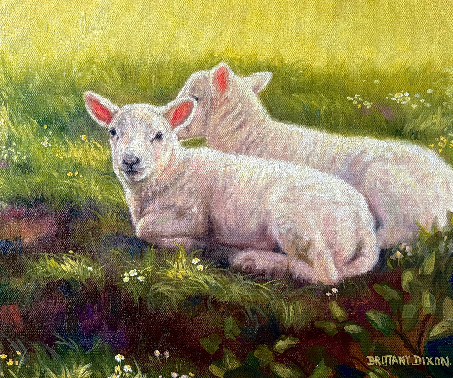 LAMBIES AT REST