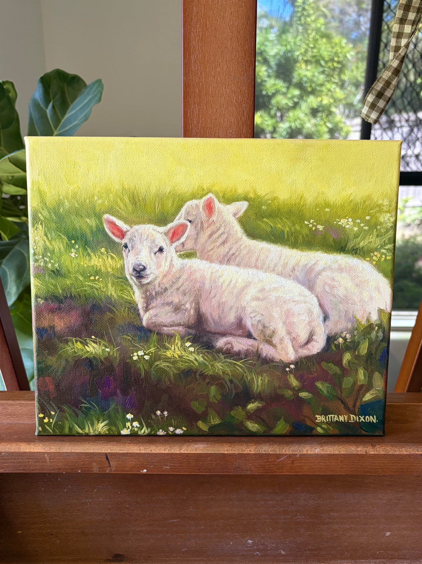 LAMBIES AT REST