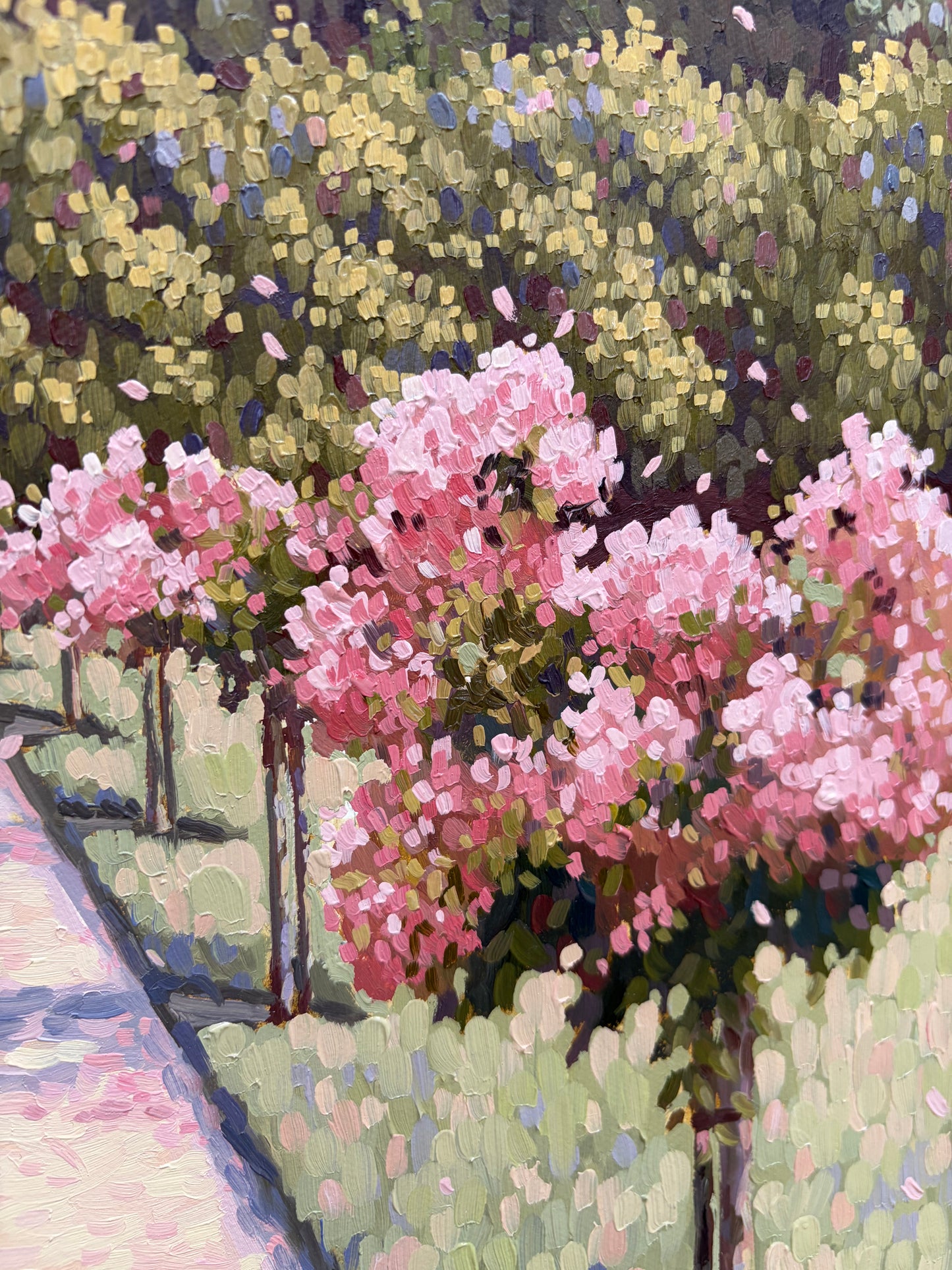 The Rose Garden III