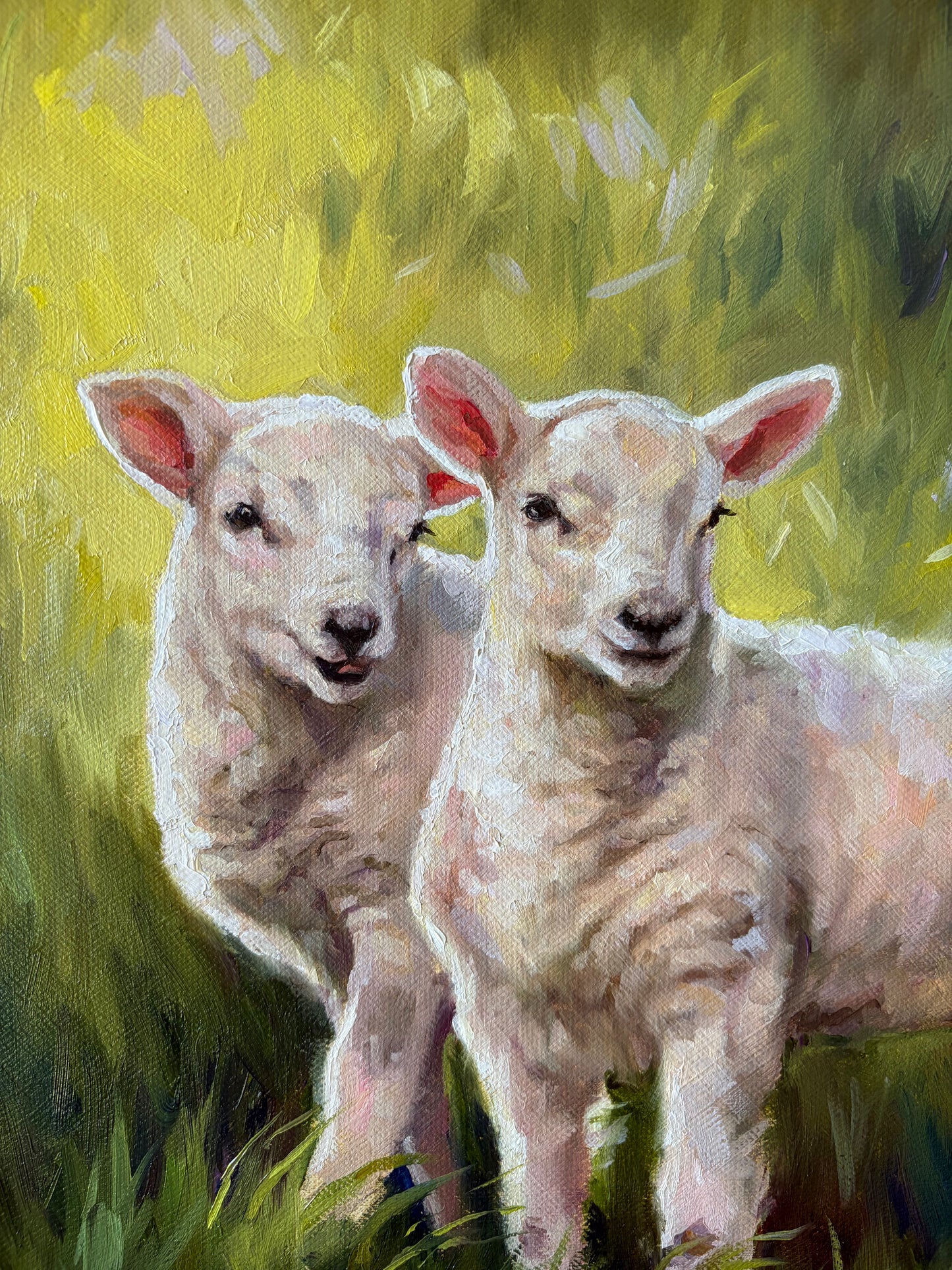 LAMBIES
