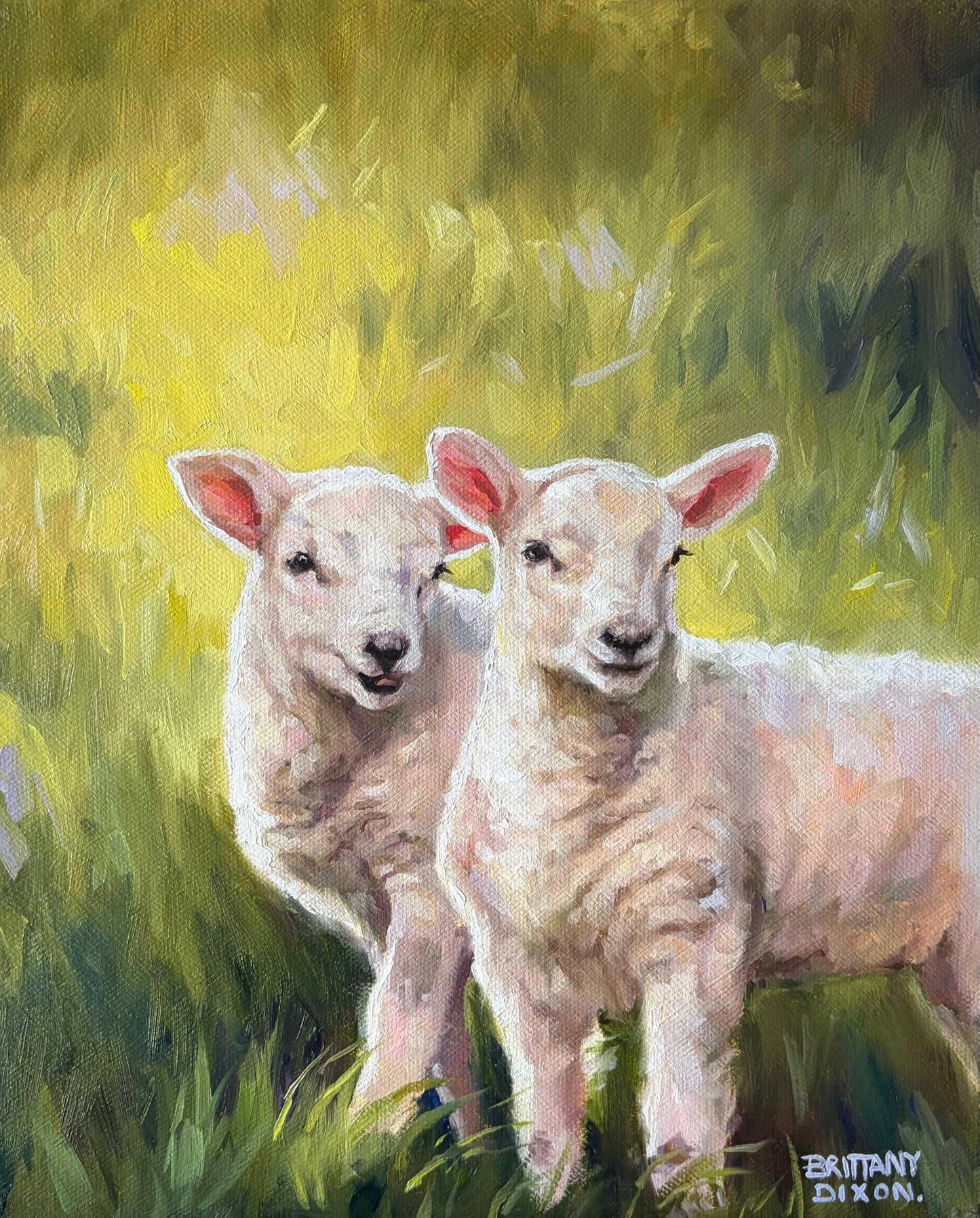 LAMBIES