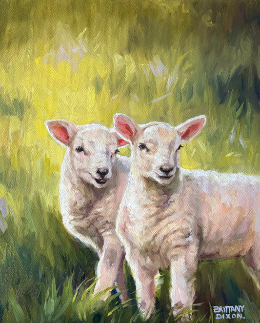 LAMBIES