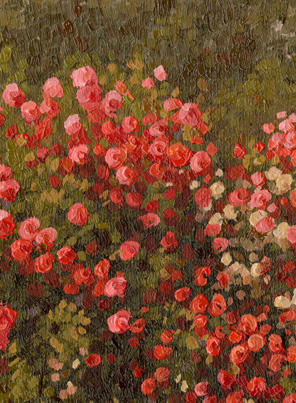 Limited Edition A2 Print | The Rose Garden II