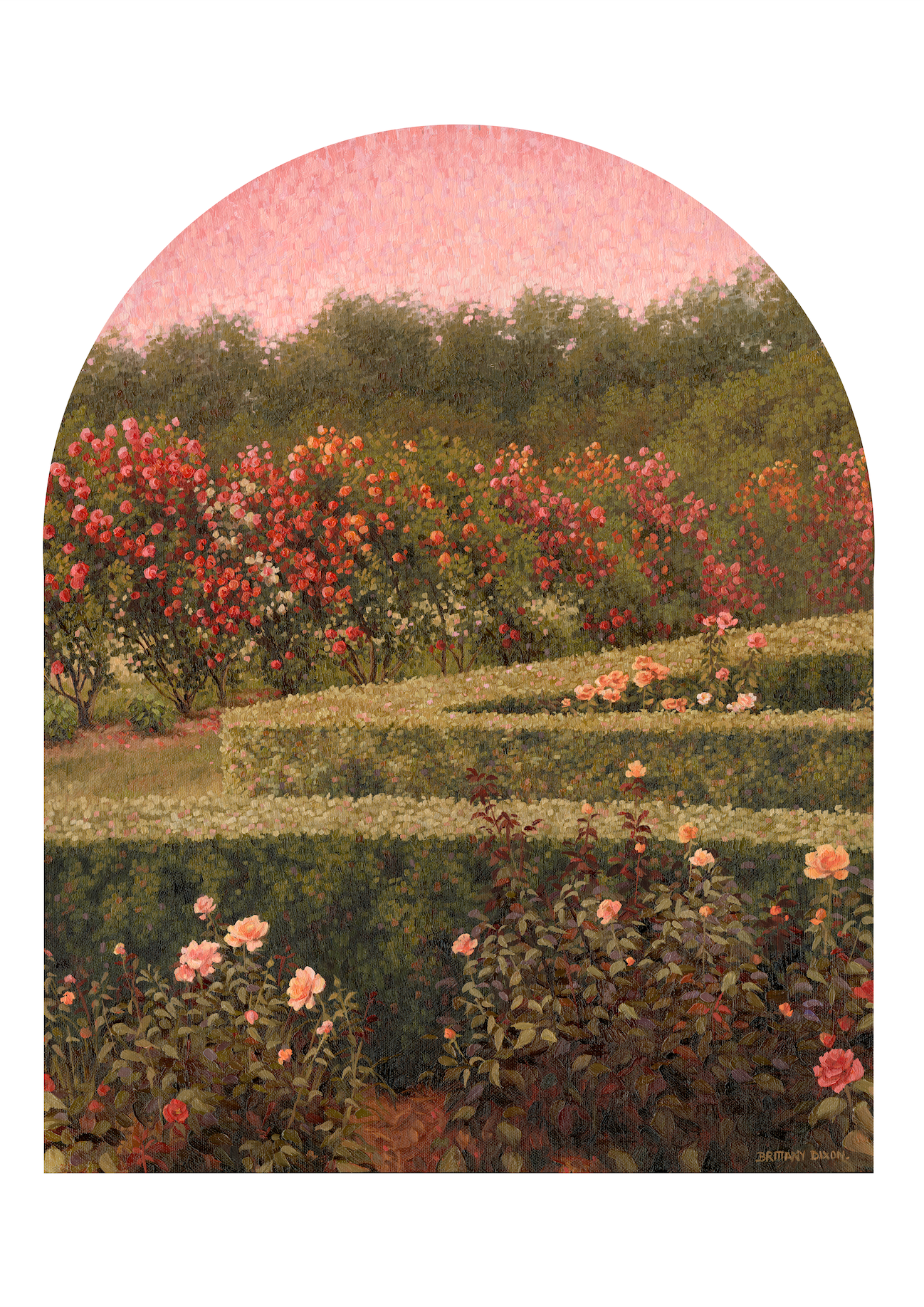 Limited Edition A2 Print | The Rose Garden II